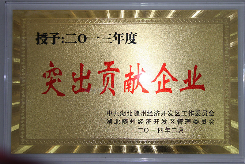 廈工楚勝榮獲隨州市2013年突出貢獻企業